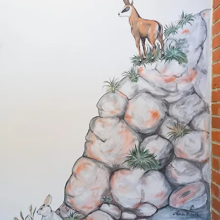 Petacova Hisa Краньска Гора