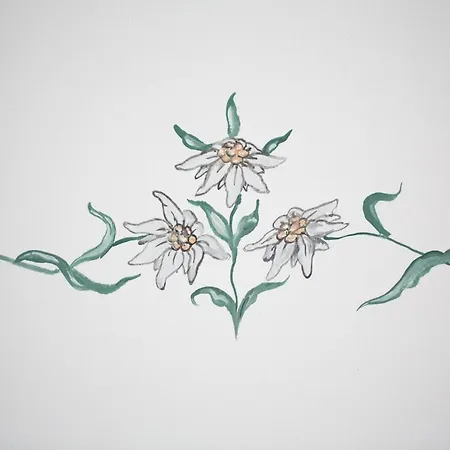 Petacova Hisa Апартаменты Краньска Гора